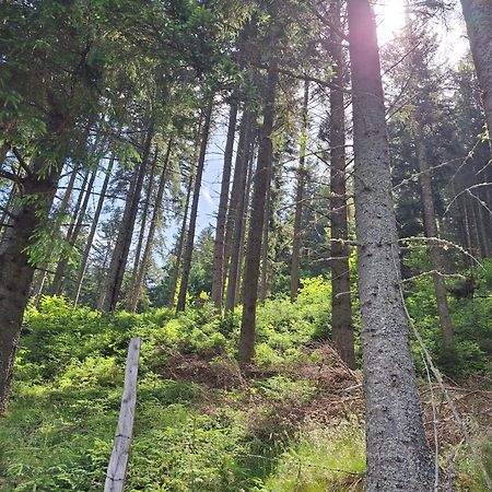 Naturpark Bauernhof Sperl Mariahof Exterior foto