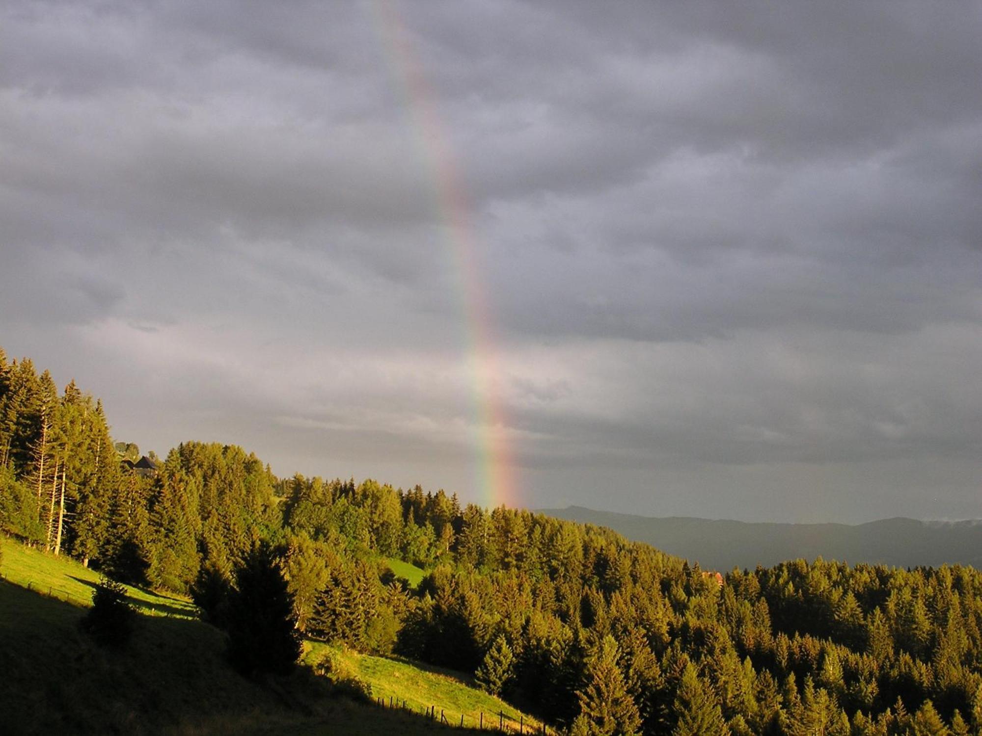 Naturpark Bauernhof Sperl Mariahof Exterior foto