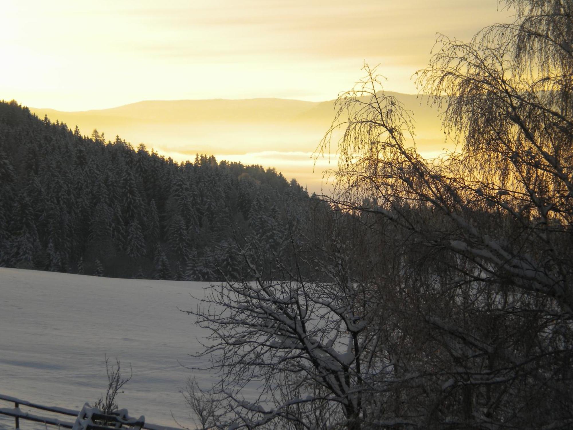 Naturpark Bauernhof Sperl Mariahof Exterior foto