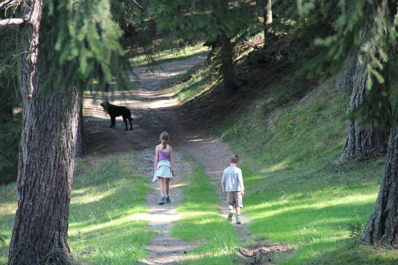 Villa Naturpark Bauernhof Sperl Mariahof Exterior foto